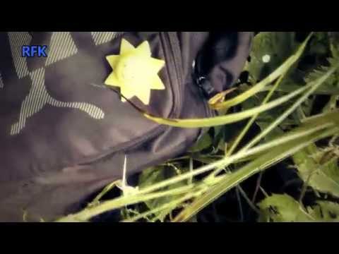 Latest WRC HD & Rally HD Videos