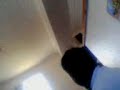 monju absolute ledge!