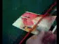 decapitating decapitating