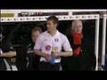 Fulham Villa goals (brief highlights)