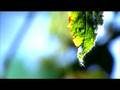 MyDreamScene1