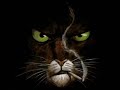 Blacksad Tribute
