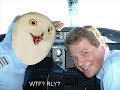 Crazy Owls! Topic: Space and Air, wtfMusic: Benny Benassi - Sweet Dreams (Remix)