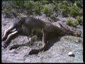 hunt-ak-06-part-2of4.html