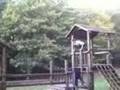 videos de so de l'ange