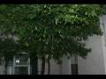 videos de Autumn Colors the reason the for the season