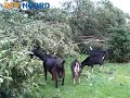 Zware windhoos treft Westerkwartier (2)