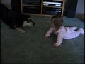 Baby zeigt Hund wie man eine Rolle macht