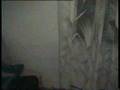 videos de budalestine trzac , samir ado edo seno cile-mile