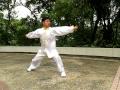 HONGKONG CangZHou BaJi Quan滄州八極拳(祝天京師傅示範片段)
