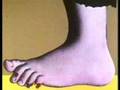 Monty Python's Flying Circus - Main Theme