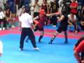 videos de wushu Chile escuela La Grulla 2008