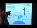 José Baselga,et al: Biomarker Analysis Identified Women Most Likely to Benefit From T-DM1