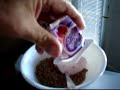Breakfast Portion Control Breakfast Portion Control