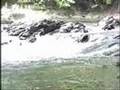 Nigeria's Waterfall calabar
