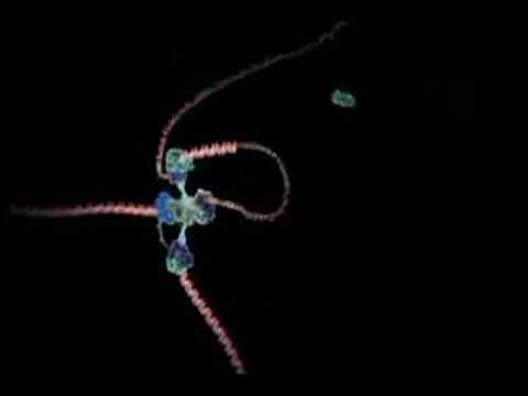 Molecular Visualization of DNA