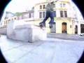 pt1 - Aves Cerdas Vitan Ave Cerda