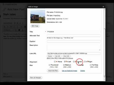 YouTube Preview Image