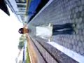 Dudut