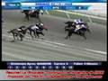 videos de Resumen Domingo 02-nov-2008