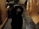 Noa doet high five