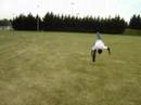 Capoeira Jerry