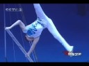 zhang fan - soft wire (china)