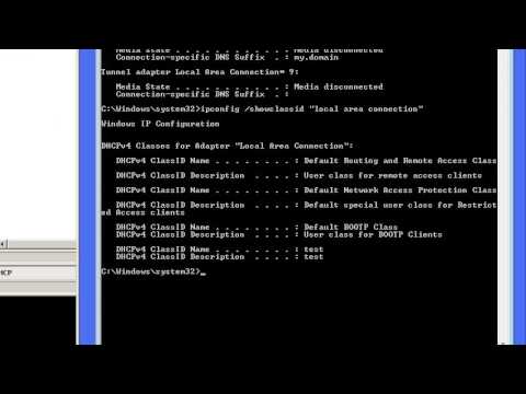how to enable dhcp in cmd