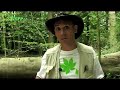 WSPP, the World Society for the Protection of Plants
