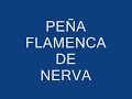 Un ratito en la Peña Flamenca de nerva 2007