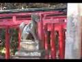 Japan Shinto Shrine Gate Japanese Jinja Torii Tori Mon