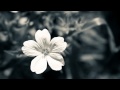Ilya Demin - Sunrise Crawl (Original Mix)