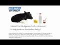 Did you know this about cows, calves and Australian Dairy?  Bet you didn't!