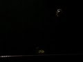 fragmento de la presentación almuerzos de mediodia