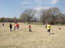 the great jobe land rush of easter 2008