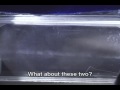 Diffusion Cloud Chamber