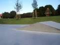 pop shove-it tail grap
