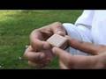 Carbon dioxide domino