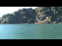Bottlenose Dolphins in Whakatane Harbour Entrance Bottlenose Dolphins in Whakatane Harbour Entrance