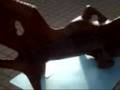 videos de piece 7