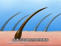 Pantene Clinicare Video.wmv