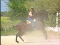 Caballos