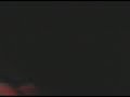 Lost Tapes: OK Octopus Scare Lost Tapes: OK Octopus Scare