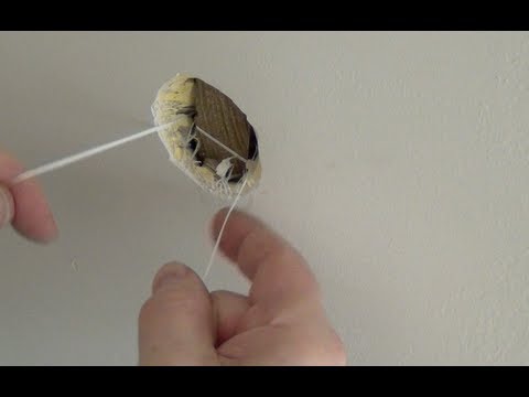 how to repair a hole in a door