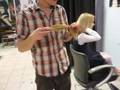 videos de Ali gets a haircut