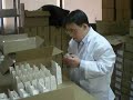 Down syndrome:&nbsp;S�ndrome de Down: empleado n.16