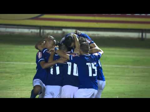 Gol do Cruzeiro! Leandro Damião! Guarani 0 x 1 Cruzeiro - Mineiro 2015