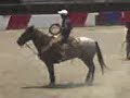 ranchero profecional floreando   producciones pit