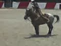 ranchero profecional floreando   producciones pit