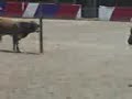 ranchero profecional floreando   producciones pit